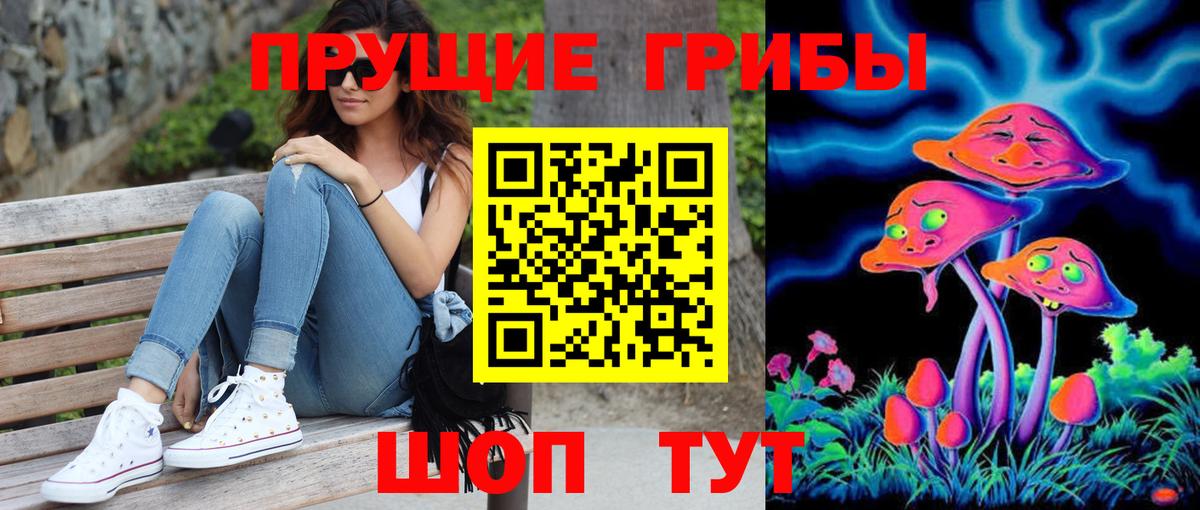 Галлюциногенные грибы Magic Shrooms  Псилоцибиновые грибы GOLDEN TEACHER  Кудрово  Вход с VPN 